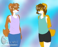 Twin Concept commission