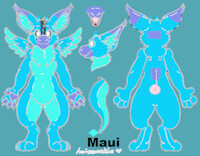 Maui's New Ref