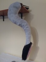 liger tail