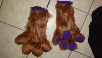 handpaws