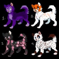 OTA Christmas Dog Adopts #3