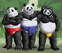 Gift - Primary Pandas (2017)
