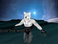 silver the  wolf