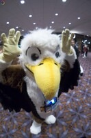 MFF 2016 178