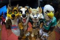 MFF 2016 204