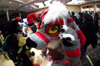 MFF 2016 207