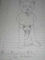 Pose Practice #2