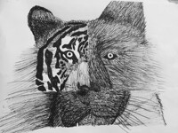 Untouchable cover concept