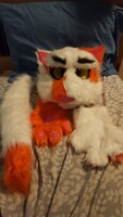 Angry Cat Semi Partial