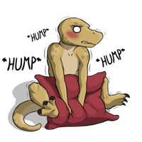 Pillow humping
