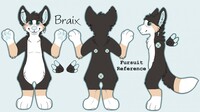 [NMA] Fursuit Reference