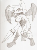 Rouge the Assasin