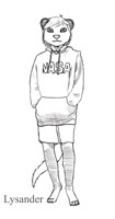 Lysander Sketch