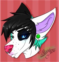 Kristy (headshot)