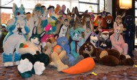 Tons of Bunnies!