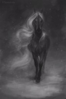 Winter mare