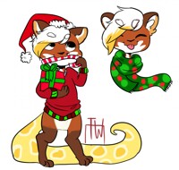 fullbody bust set for 30 usd comm