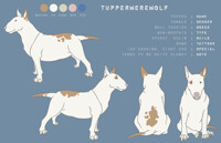 Tupper -- Reference Sheet