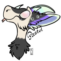 [NMA] Derp