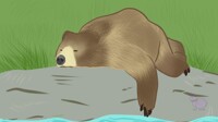 [P] Grizzly 2