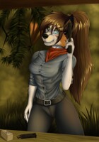 Shooting range (bonus)