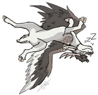 Stream Com- Duke's Nap