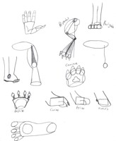 MFF 2016 Sketching Panel Paw Doodles