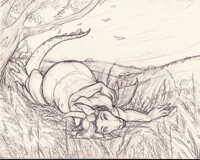 Tivi WIP