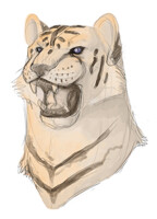 Anthropomorphic Vitai (Head)