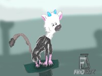 Trico