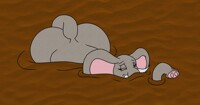 Sandphant