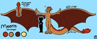 010217 Meerm Drgn