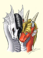 The Dharkens: Todd & Danielle - A Fresh Approach