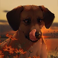 at sunset