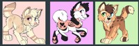 Puppy adopts