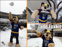 Jade Foxkit Fursuit