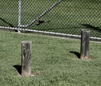 this picture is a subconscious memory, that controls everyth