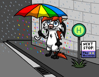 Holding back the flood