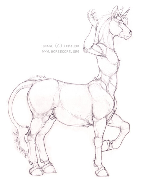 Equustrataur Anatomy - Pouch Detail by ecmajor -- Fur Affinity [dot] net