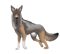 WOlfabu