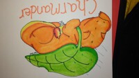 charmander