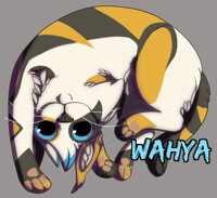 Hanging cat