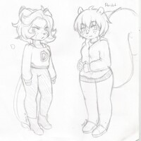 D and Peridot Differences -Old-