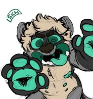 tfw youre a crazy raccoon