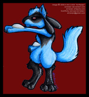 Riolu 09
