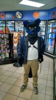 Gas Station Raccoon