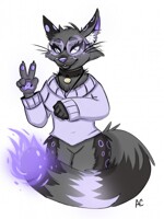 Finished Commission $13