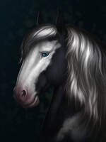 Mr Handsome stud