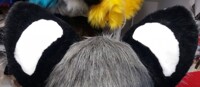 Snep ears!