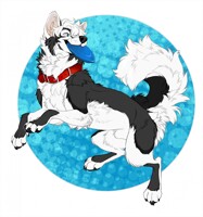 Catch! [Art by DaggerLeonelli]